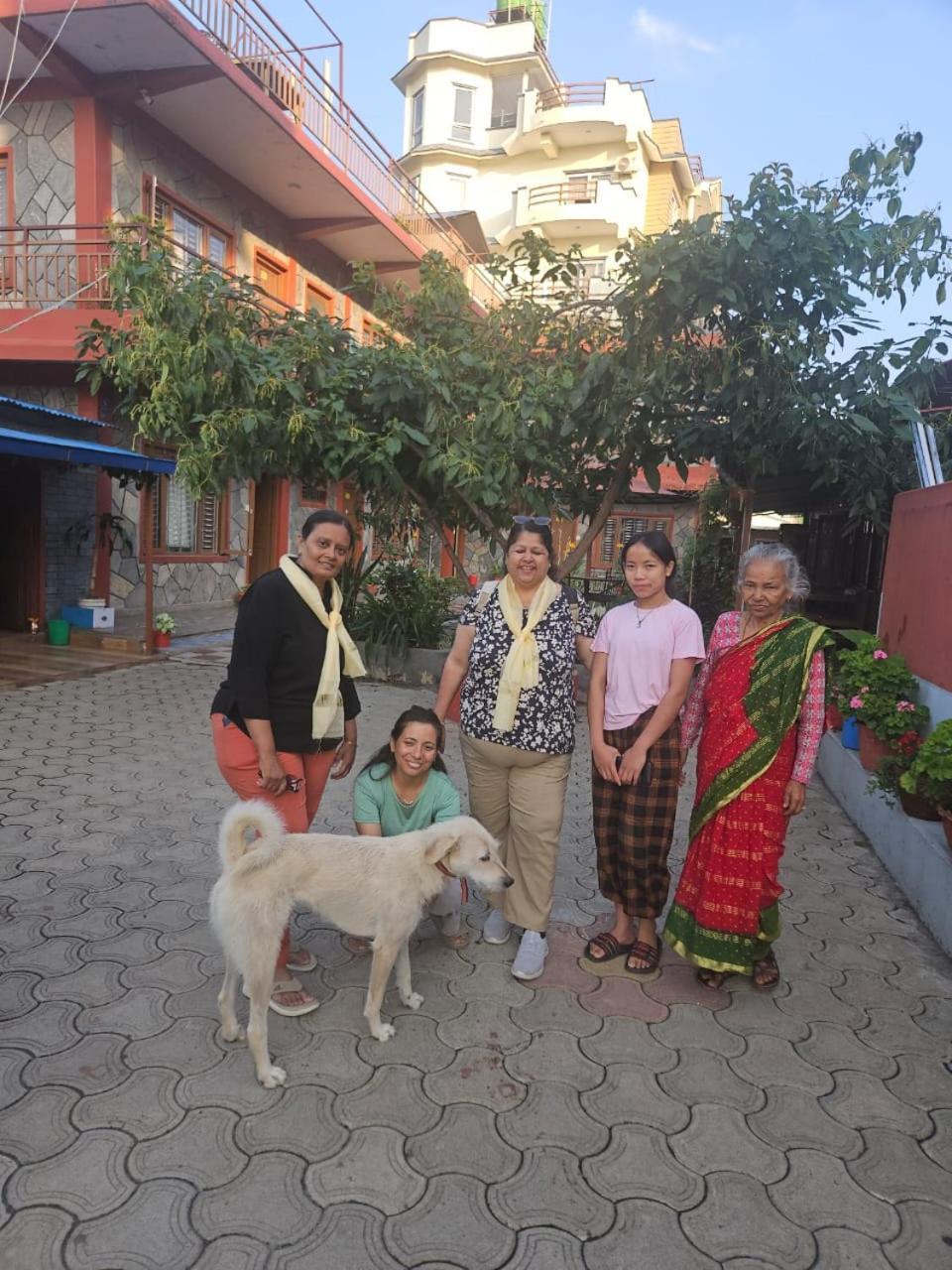 Pokhara Metro Eco Hotel Luaran gambar